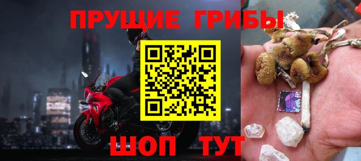 Томск  Галлюциногенные грибы ЛСД  Псилоцибиновые грибы MAGIC MUSHROOMS  Вход с VPN 